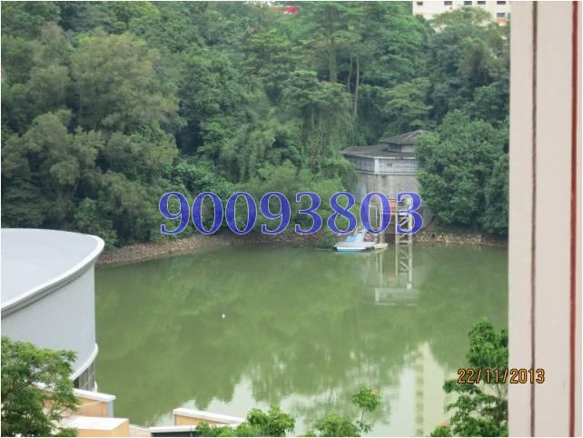 Blk 138 Petir Road (Bukit Panjang), HDB Executive #83662572